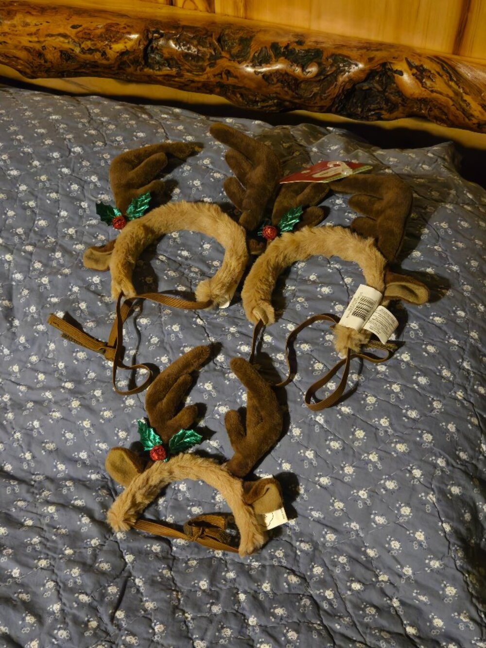 Lot of 3 Deer Antler Pet Holiday Apparel. NWT